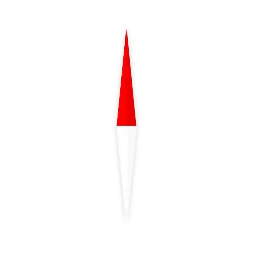 compass needle